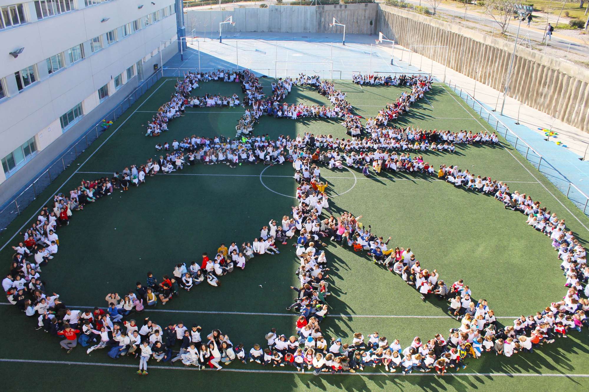 Primaria Colegio Estudiantes